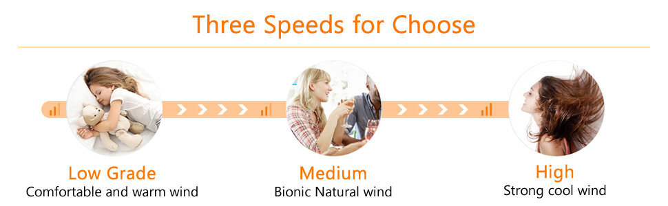 Ceiling Fan with Crystal Light