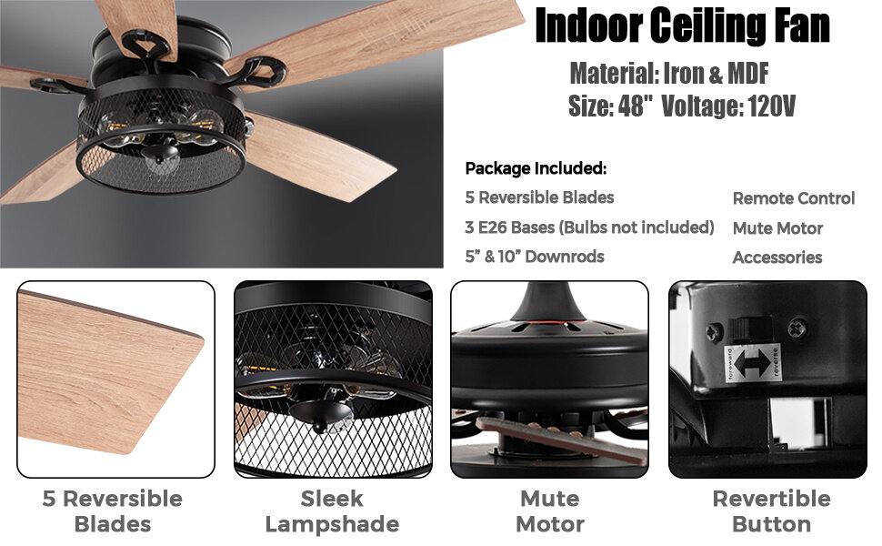 indoor ceiling fan