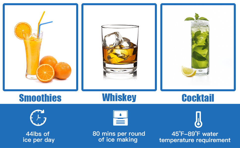 drinks seafood cocktail