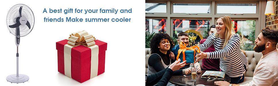 Pedestal Fan Height Adjustable