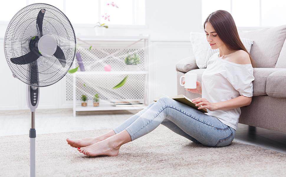 Quiet Pedestal Fan