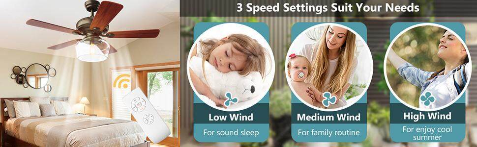 Ceiling Fan with Light