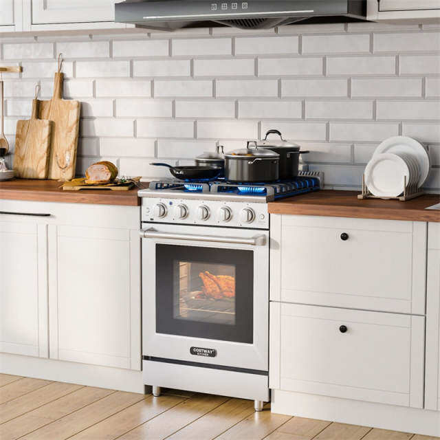 24" Freestanding Natural Gas Range Stainless Steel Dual Fuel Gas Range with 4 Burners Cooktop & 3.73 Cu.Ft. Convection Oven