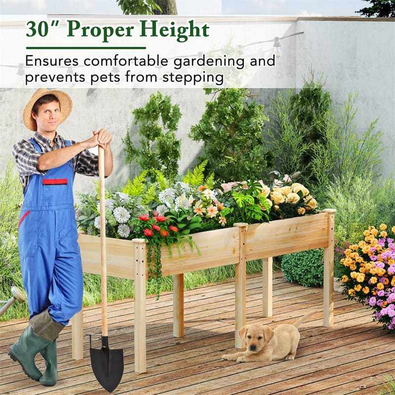 Wood Raised Garden Bed with Legs, Divider Panel & Drainage Holes, 73"x23"x30" Elevated Planter Box for Vegetables, Fruits, Flowers, Herbs