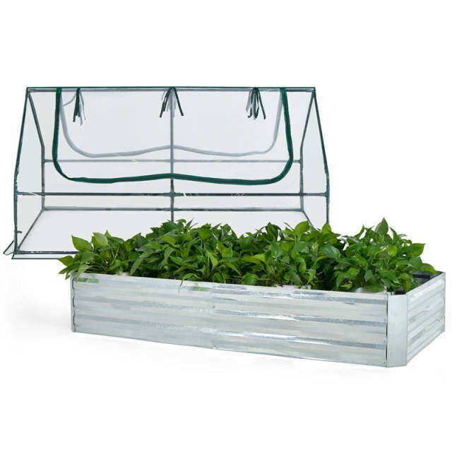 Galvanized Steel Raised Garden Bed with Greenhouse, PVC Cover & 2-Tier Roll-Up Windows, Bottomless Planter Box for Veggies, Flowers, Herbs