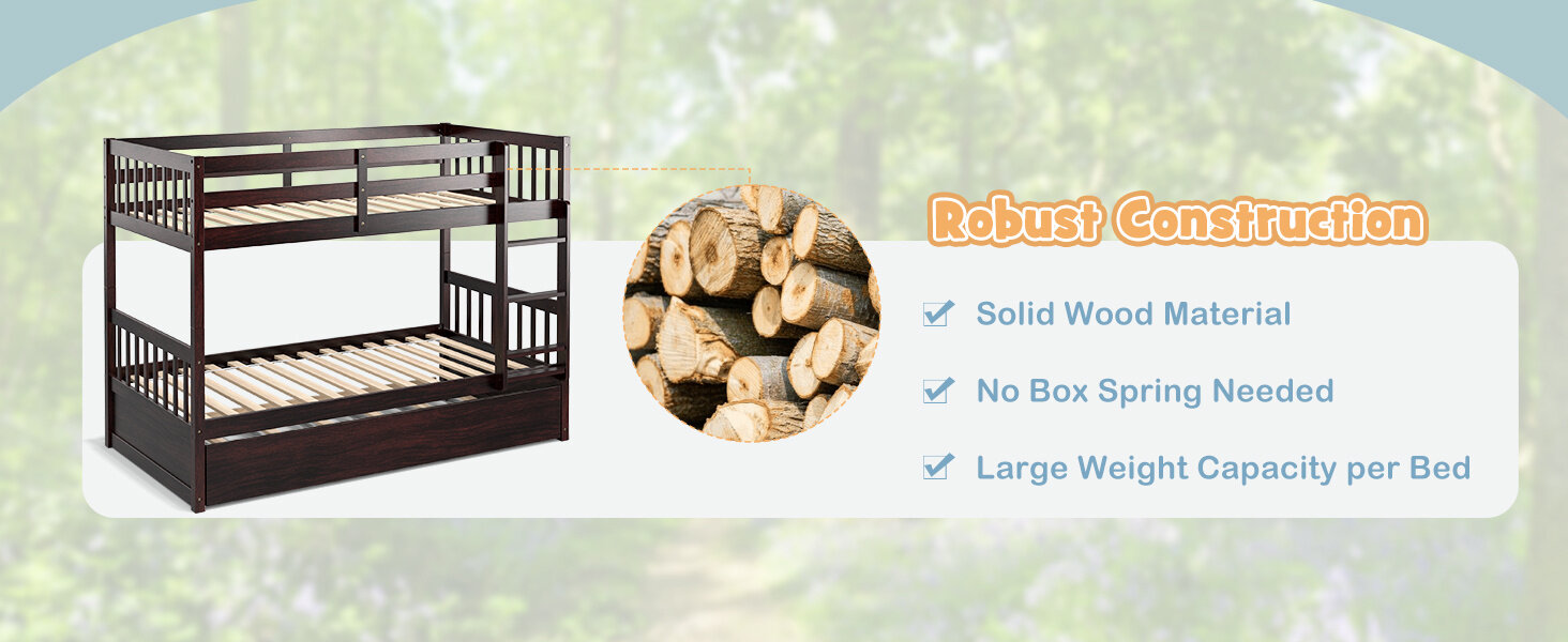 Versatile Platform Bed Frame with Ladder