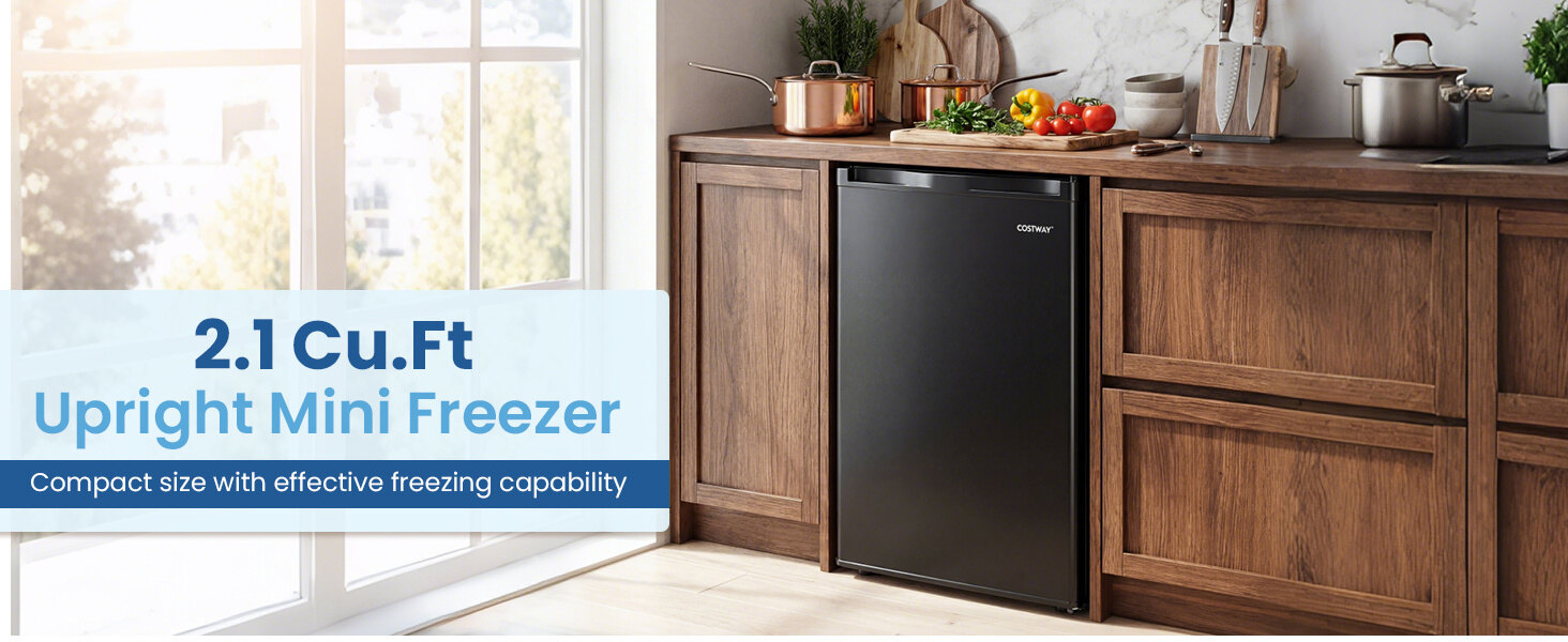 Compact Upright Mini Freezer