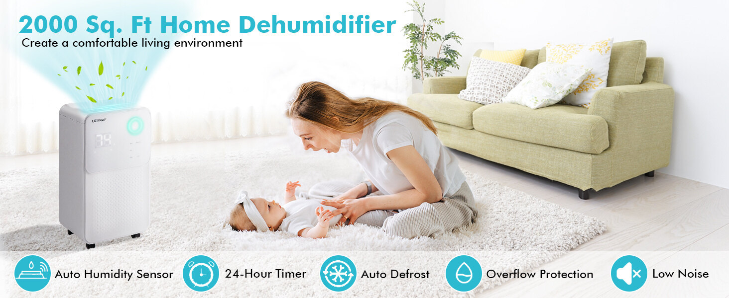 DEHUMIDIFIER
