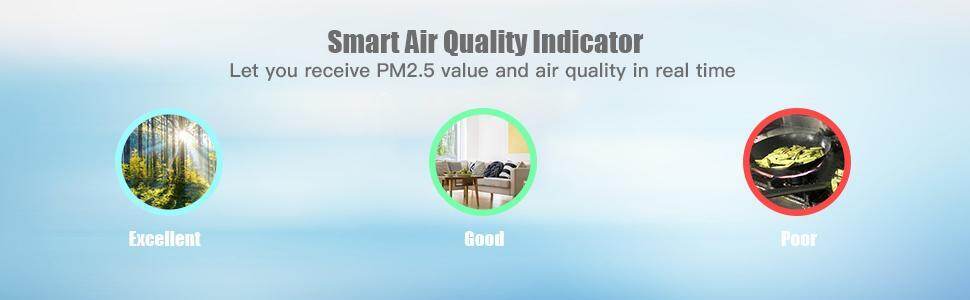 Air Purifier