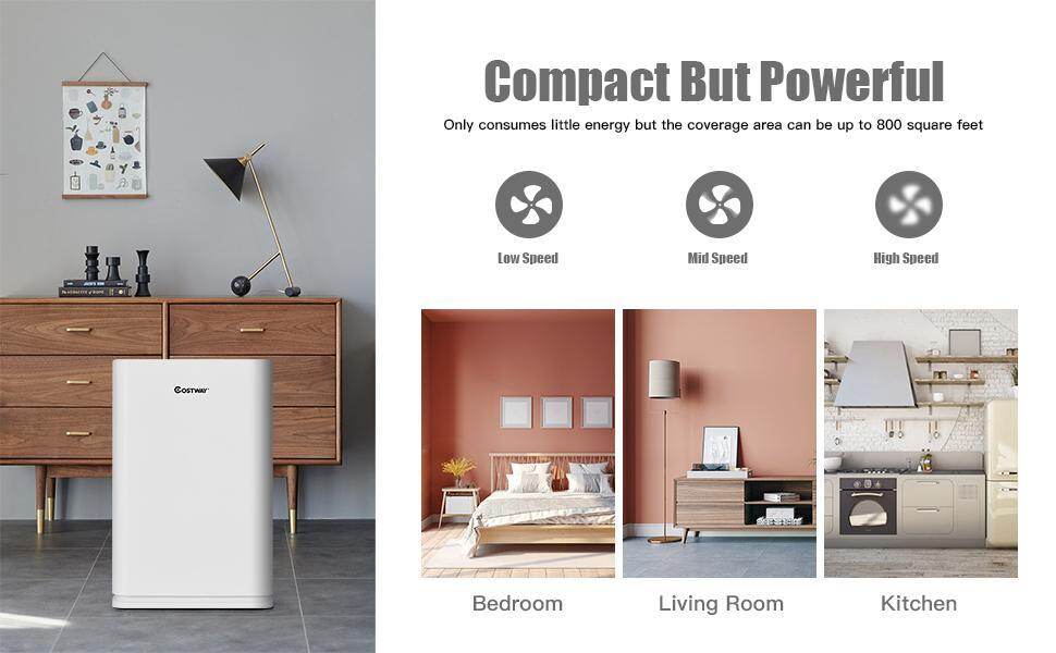 Air Purifier