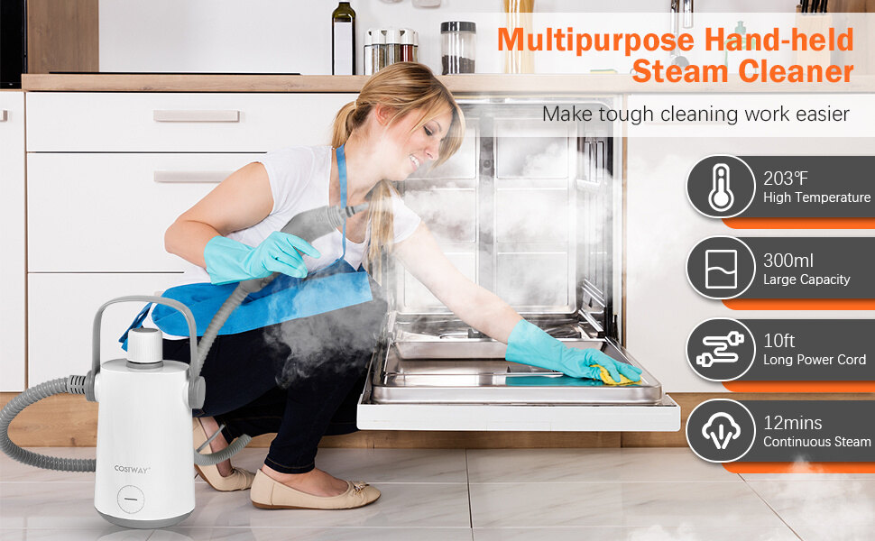 steam cleaner