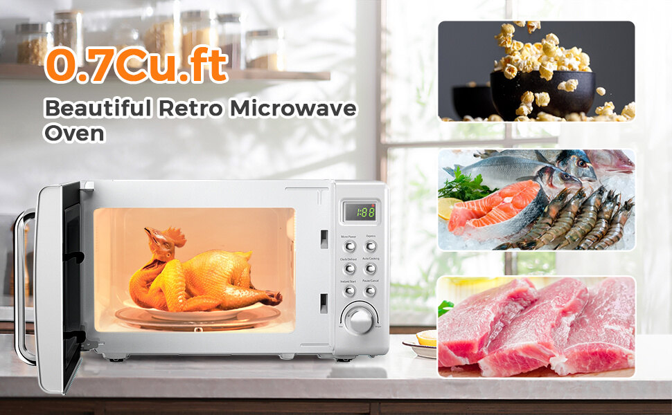 mini Microwave Oven