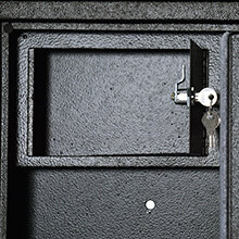 GUN SAFE
