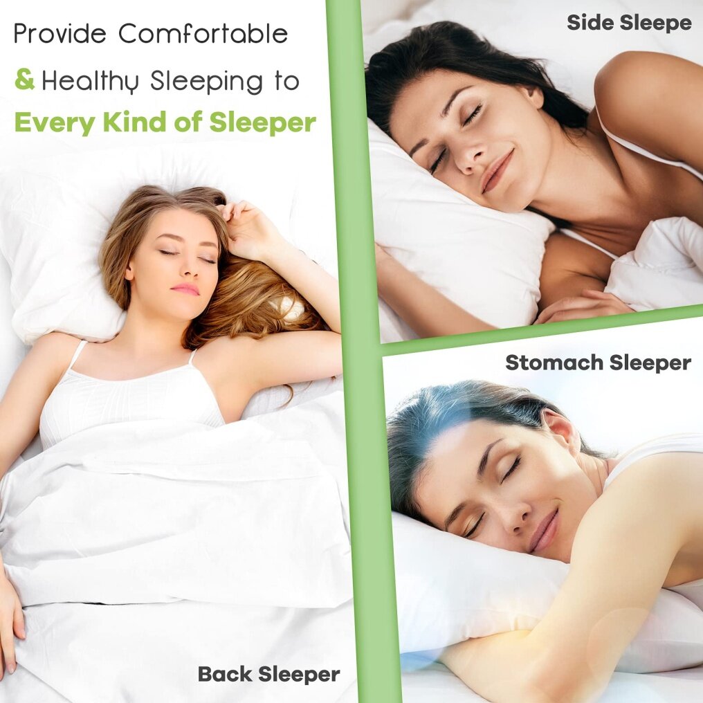 2 Pack Shredded Memory Foam Pillows