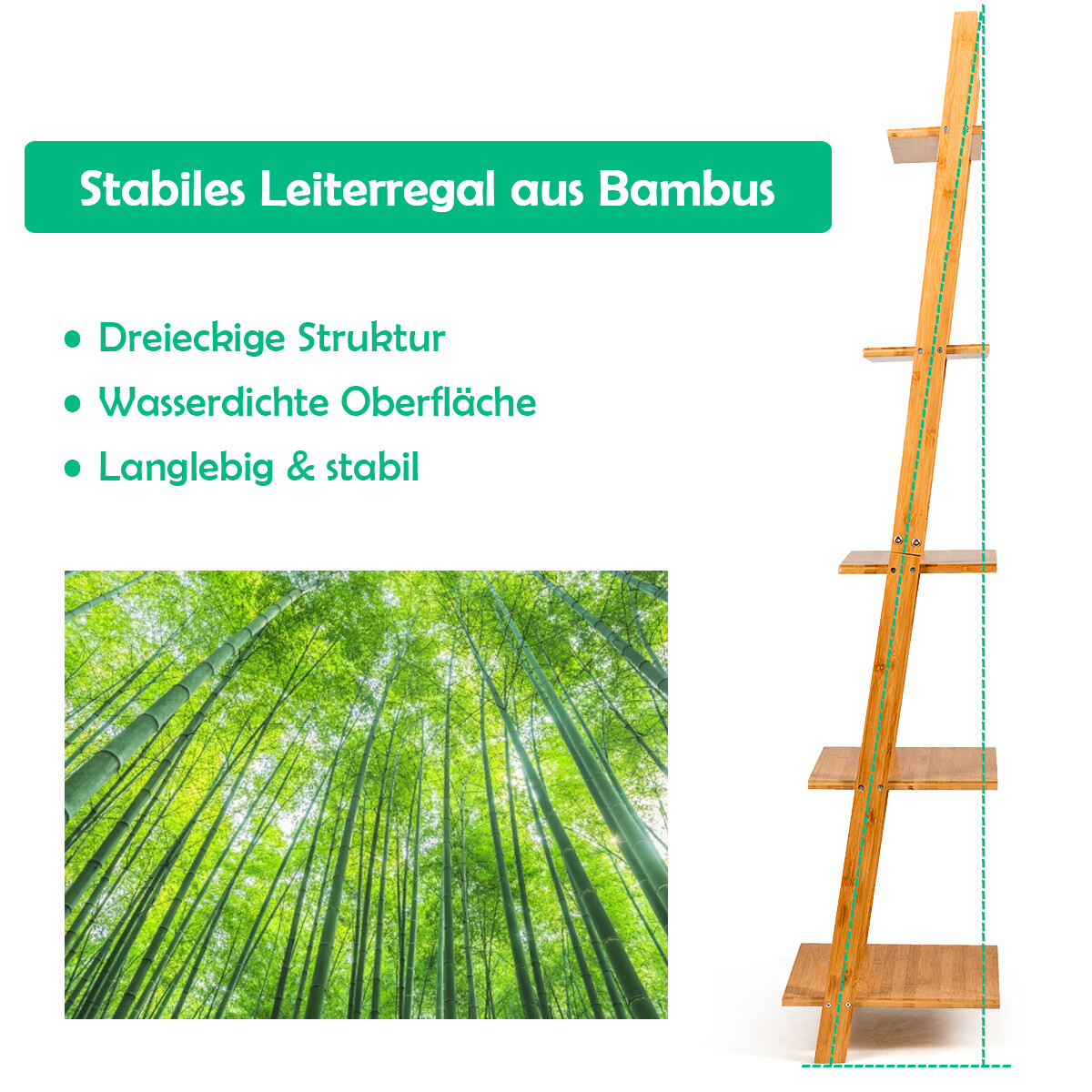 5-astmeline redelriiul, moodne kaldus bambusest raamaturiiul, vitriiul, taimealus