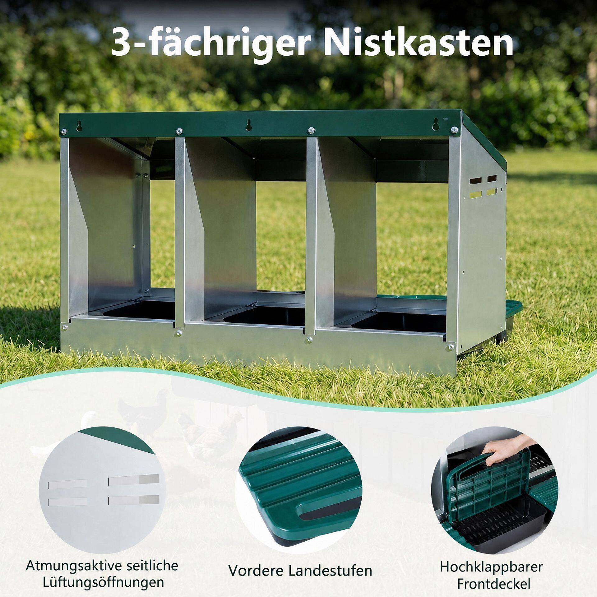 3-Compartment Roll Away Metal Chicken Nesting Box for Hens-Green