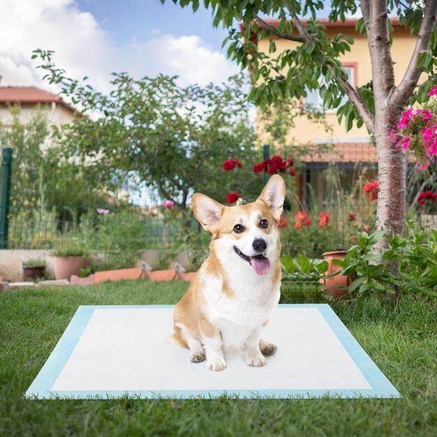 Training Pads Dogs Leak-proof 6-layer design Puppy Pads Puppy Pads (90 x 60 cm 150 pieces) Training Pads Dogs Leak-proof 6-layer design Puppy Pads Puppy Pads (90 x 60 cm 150 pieces)