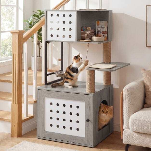 Kassipuu liivakasti kapiga, 117,5 cm, mitmetasandiline kassipuu söötmiskohaga