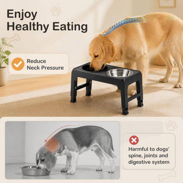 Elevated Dog Bowls with Slow Feeder and 4-Level Adjustable Stand-Black