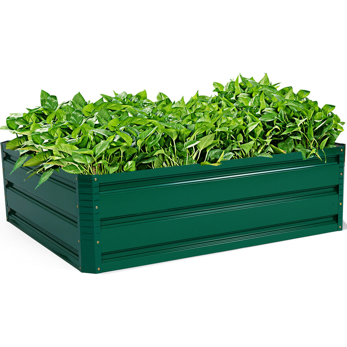 102 cm x 81 cm kõrgpeenar köögiviljade ja lillede istutamiseks