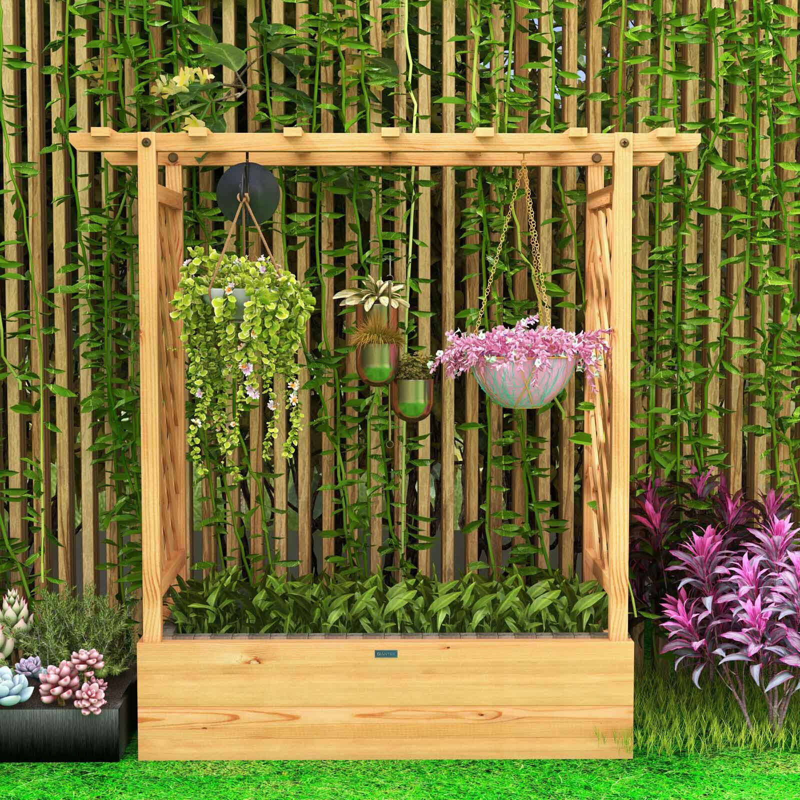 Kõrgpeenar võre või ronitaime ja rippuva potiga - naturaalne