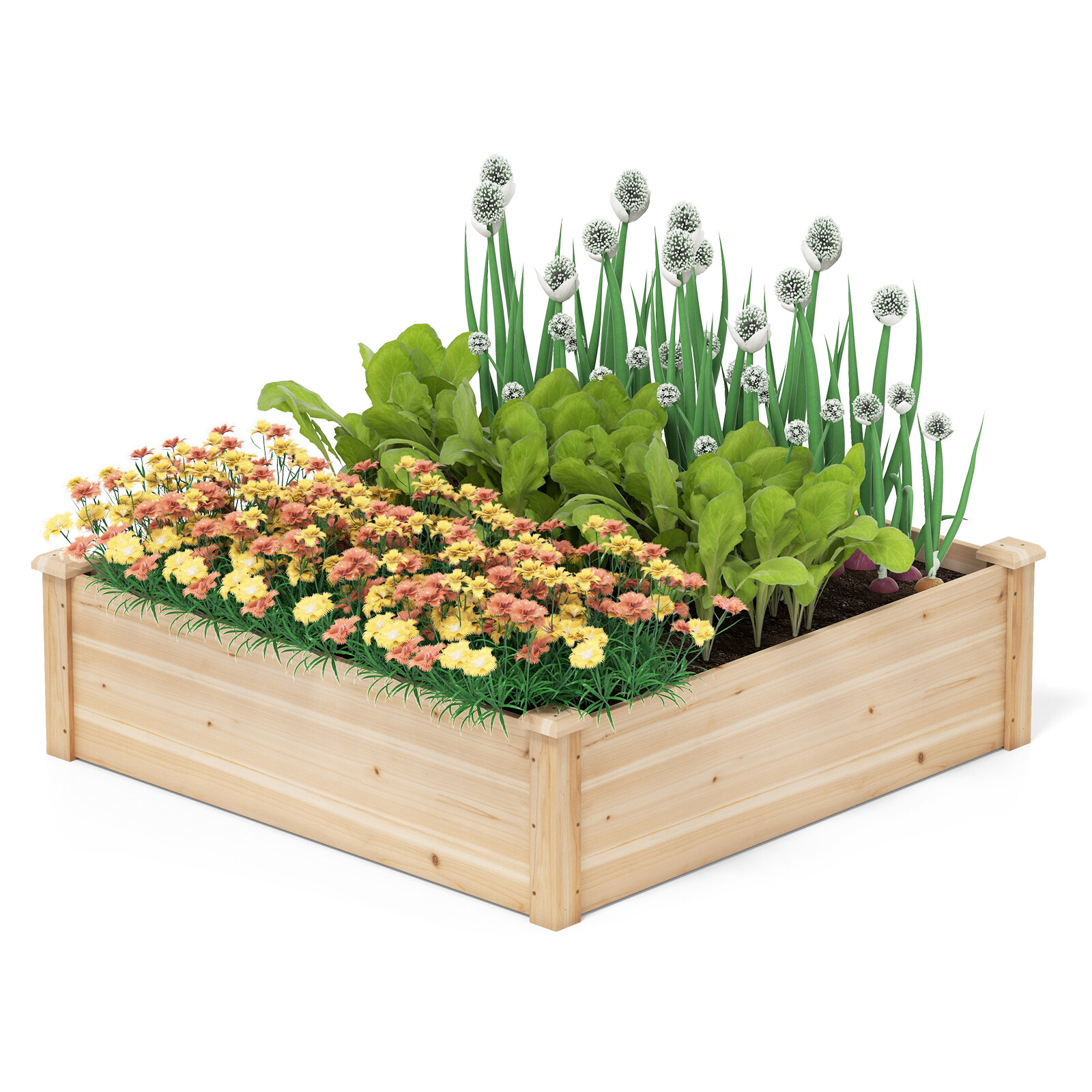 102 cm x 102 cm puidust kõrgpeenar õue - naturaalne